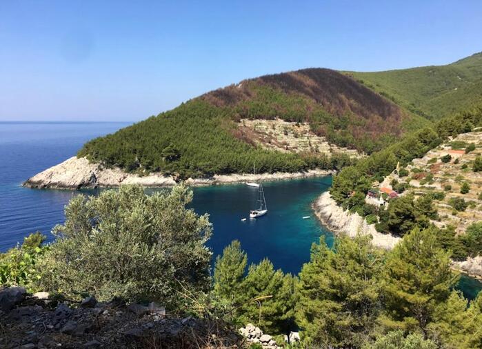 Tirkizna uvala sa zelenom sumom