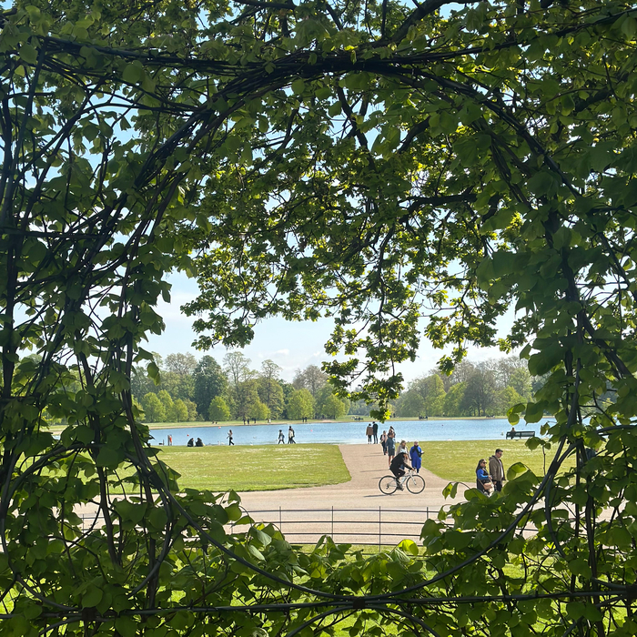 Hyde Park zelenilo i ljudi na biciklu