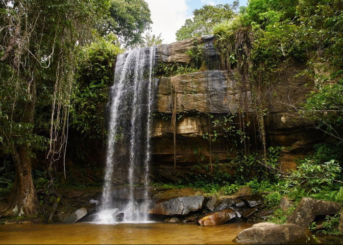 Sheldrick Falls in Shimba Hills