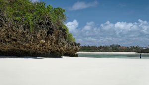 10 Best Things to Do in Diani Beach (2025 Guide) White sand in Diani Beach Kenya.