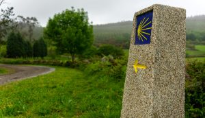 Put svetog Jakova 2025: Kako krenuti, koliko košta i što ponijeti Kameni stupic sa plavom oznakom puta svetog jakova