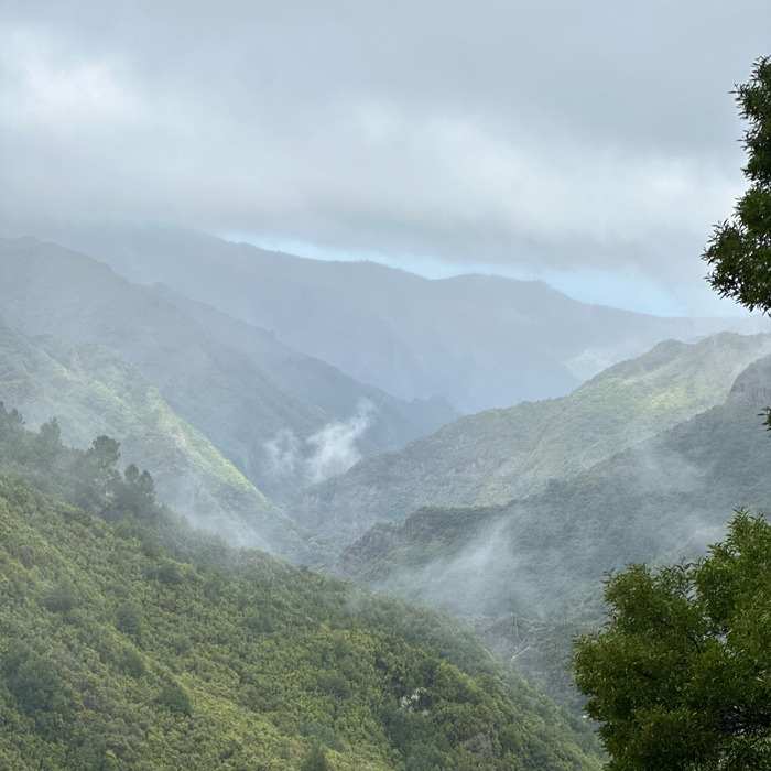 Vereda dos Balcoes foggy peaks view on Madeira