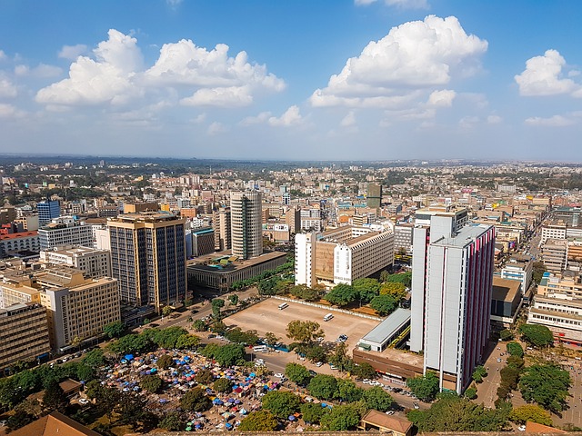 Nairobi city view