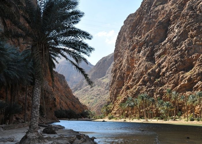 Wadi kanjon oaza sa palmom i rijekom