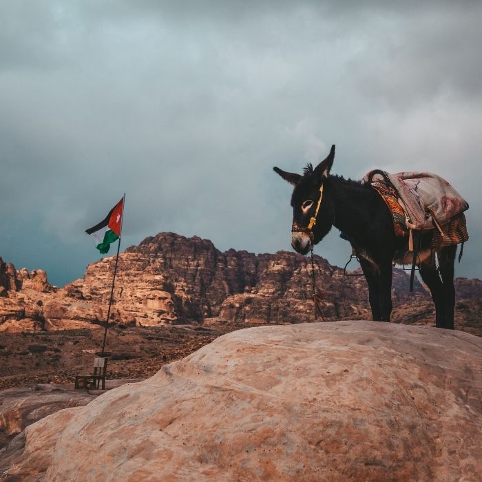 Magarac i zastava Jordana u Petri