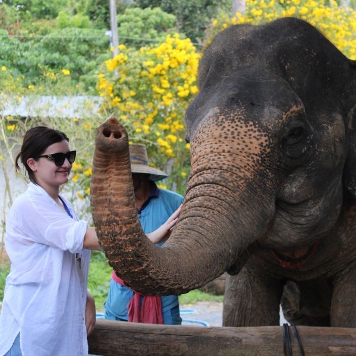 Ana utočište za slonove Ao Nang