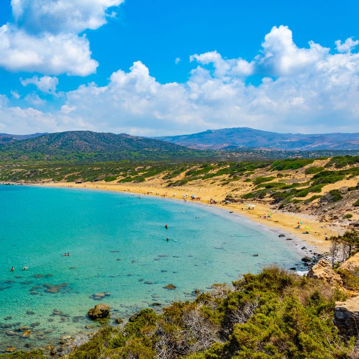 Divlja plaža Lara, pjesak i zeleno raslinje