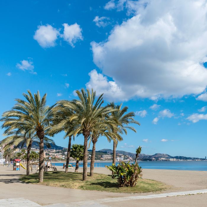 Dvije palme, plavo nebo i plaža