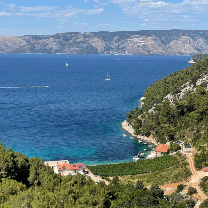 Brusje plaža, uvala, zeleni borovi, more i planina u pozadini