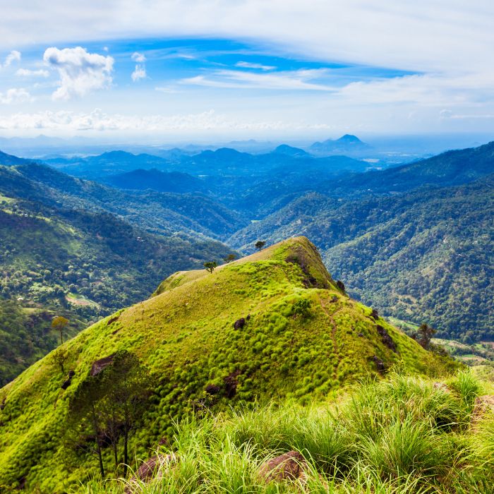 Vrh zelenog brda i kanjon u pozadini