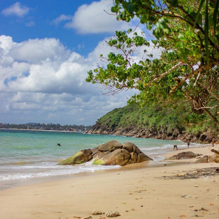 Pješčana plaža, tirkizno more i drveće