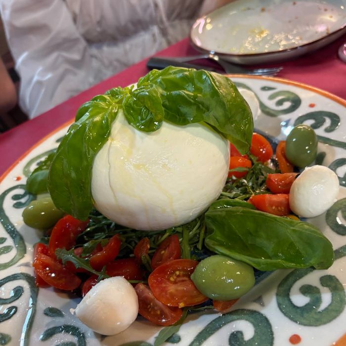 Svježa mozzarella, bosiljak i rajčice