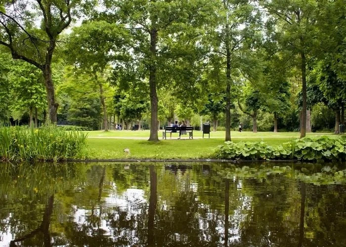 Zelenilo, klupe i jezerce u Vondelparku u Amsterdamu.